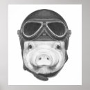 Recherche de funny pig posters Farm