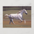 Recherche de champ de courses cartes postales Cheval