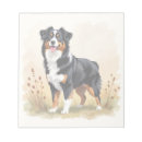 Recherche de chien berger australien blocsnotes Aussie