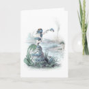 Recherche de myosotis de cartes postales Cru