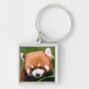 Recherche de panda chinois porteclés Pandas