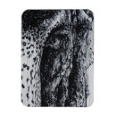 Recherche de éléphant magnets Nature