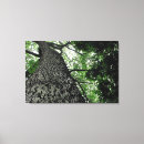 Recherche de horticulture art Vert