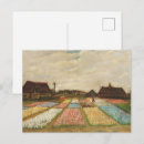Recherche de bulbe cartes postales Fleurs