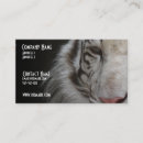 Recherche de tigre blanc cartes visite Animal