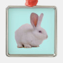 Recherche de les kawaii ornements Mignon