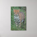 Recherche de disparition Camouflage