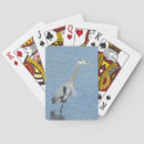 Recherche de aquatique jeux de cartes Oiseau