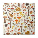 Recherche de champignons carreaux Baies