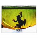 Recherche de herps Amphibies