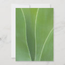 Recherche de agave vœux cartes Vert