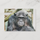 Recherche de chimpanzé cartes visite Pour tous