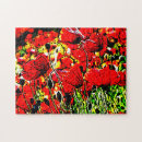 Recherche de pavots puzzles Rouge