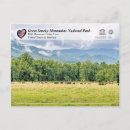 Recherche de chevaux sauvages cartes postales Usa