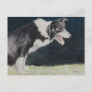 Recherche de de border collie cartes postales Élevage