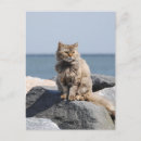 Recherche de balayé cartes postales Pour tous