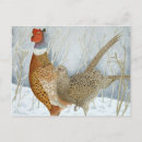 Recherche de peinture faisan Aquarelle