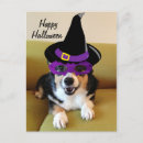 Recherche de hallowen cartes postales Amusant