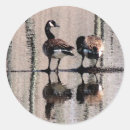 Recherche de oiseaux migrateurs autocollants Oie