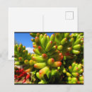 Recherche de grass cartes postales Toute personne