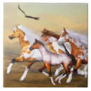 Recherche de troupeau carreaux Cheval sauvage