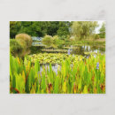 Recherche de étang de nénuphar cartes postales Eau