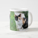 Recherche de original verre givré tasses Chat