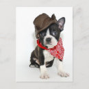 Recherche de petite cowboy cartes postales Automne