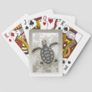 Recherche de vie marine jeux de cartes Tortue