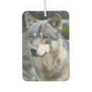 Recherche de loups voiture accessoires Nature