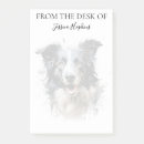 Recherche de border collie Animal de compagnie
