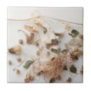 Recherche de porcelaine carreaux Botanique