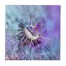 Recherche de papillon carreaux Bleu