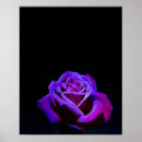 Recherche de noir et pourpre posters Violet