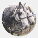 Recherche de chevaux de trait autocollants Projet