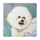 Recherche de frise de bichon carreaux Pour tous