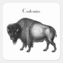 Recherche de bisons autocollants Taureau