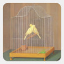 Recherche de canari autocollants Oiseau