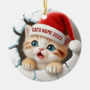 Recherche de 3d ornamente ornements Noël