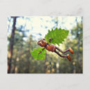 Recherche de mouche cartes postales Drôle