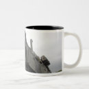 Recherche de hercule tasses Jour