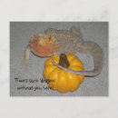 Recherche de dragon barbu cartes postales Animal