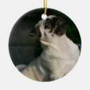 Recherche de balai ornements Chiot