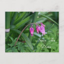 Recherche de amore cartes postales Floral