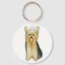 Recherche de yorkshire terrier accessoires Canine