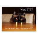 Recherche de images drôles de chat cartes postales Mignon