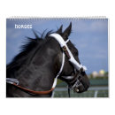 Recherche de selle bureau fournitures Cheval