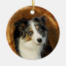 Recherche de merle ornements Animaux familiers