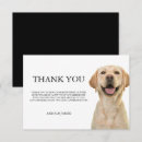 Recherche de labrador jaune vœux cartes Dog