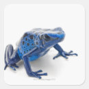 Recherche de blooded autocollants Amphibie